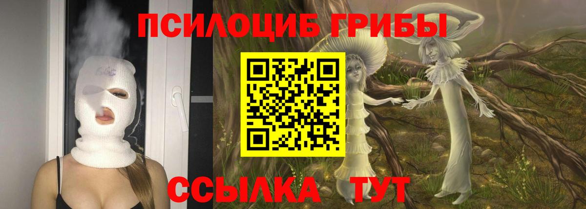 Верхняя Пышма  Псилоцибиновые грибы Magic Shrooms  цены наркотик  Вход с VPN 